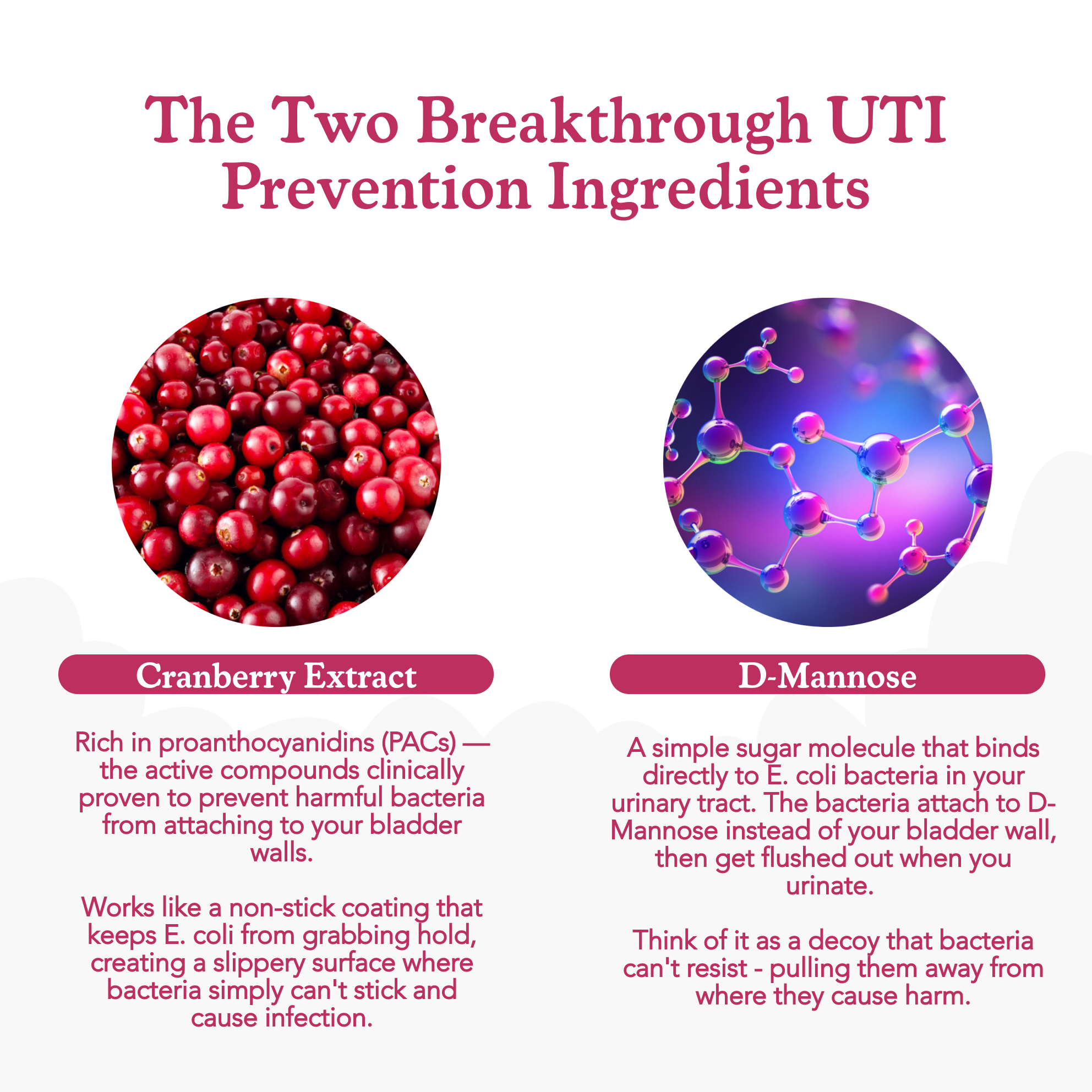 40oz insulated mug with a phone holder and free gifts included sign.