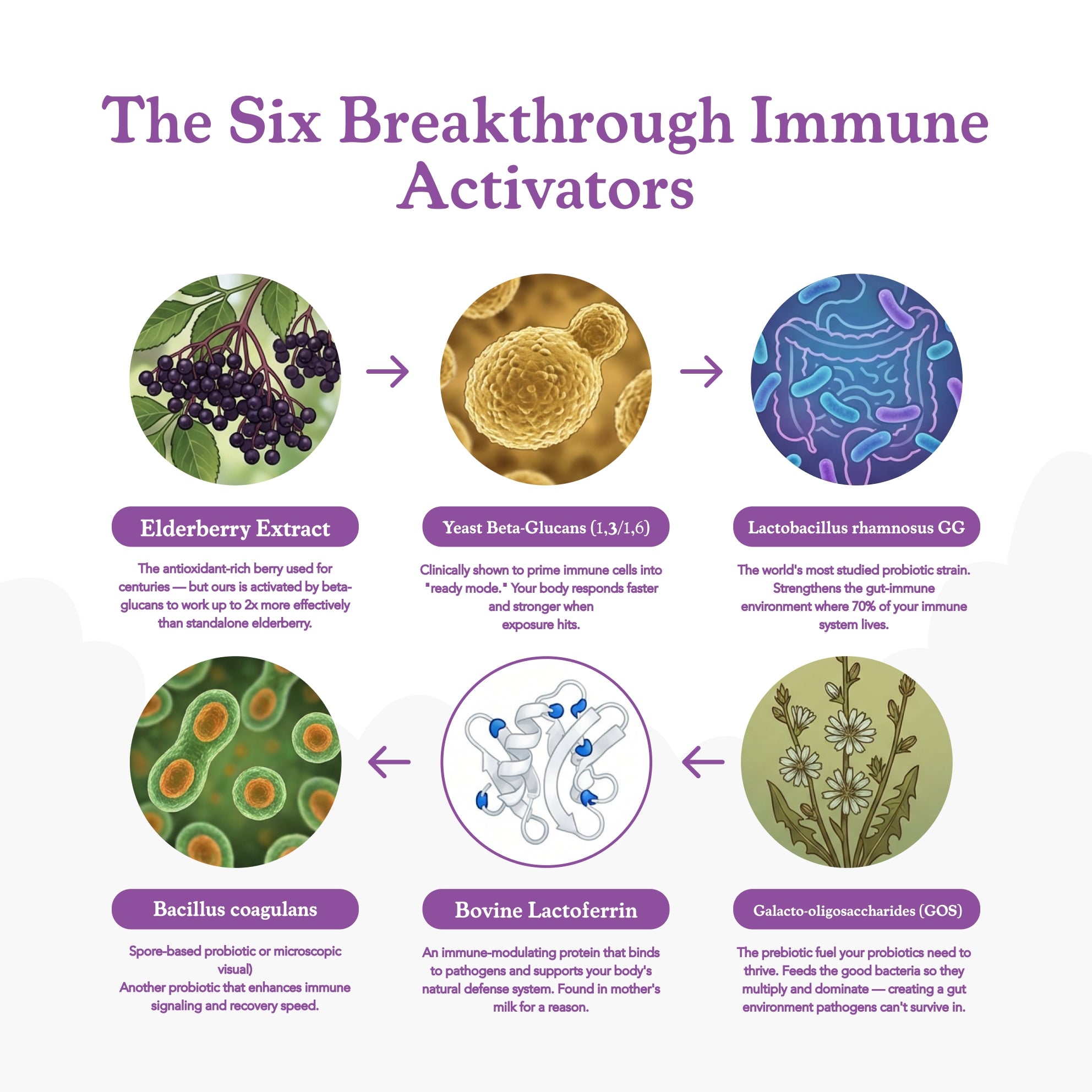 40oz insulated mug with a phone holder and free gifts included sign.